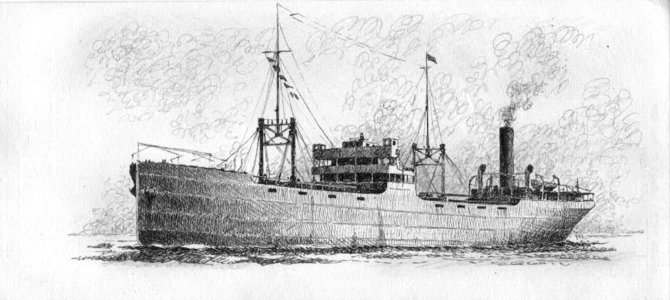 1917 - Ansaldo V